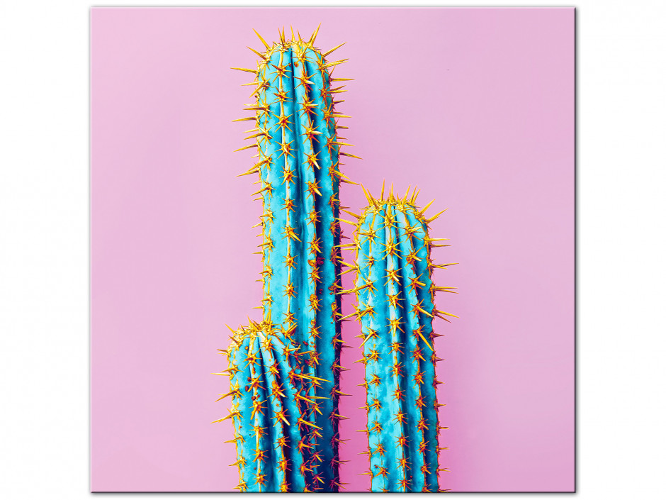 Tableau décoration cactus