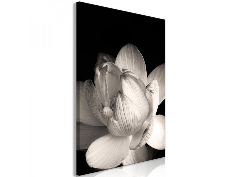 Tableau - Delicacy of Petals in Nature (1-part) - Flower in Black and White