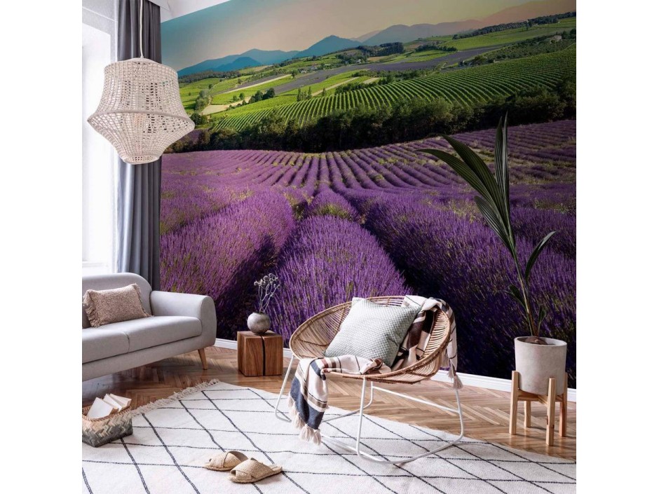 Papier peint - Lavender Field