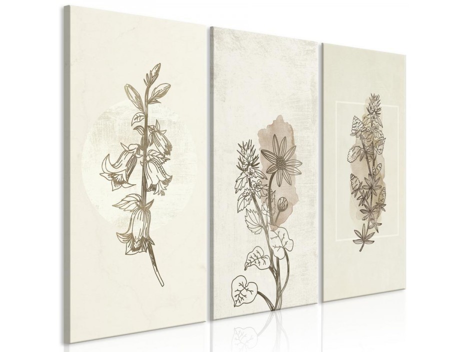 Tableau - Herbarium (3 Parts)