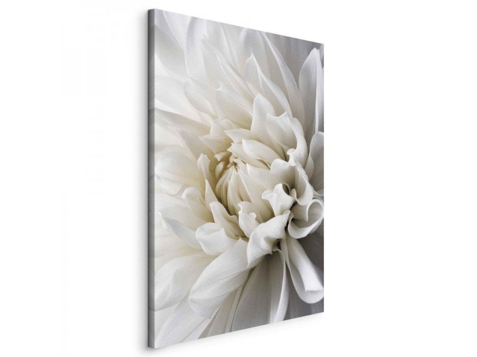 Tableau - White Dahlia