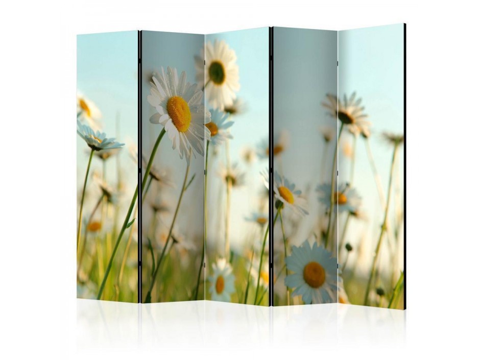 Paravent - Daisies - spring meadow II