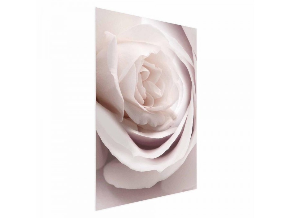 Poster - Porcelain Rose