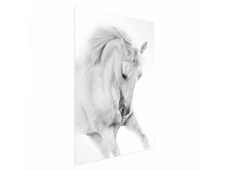 Poster - White Horse