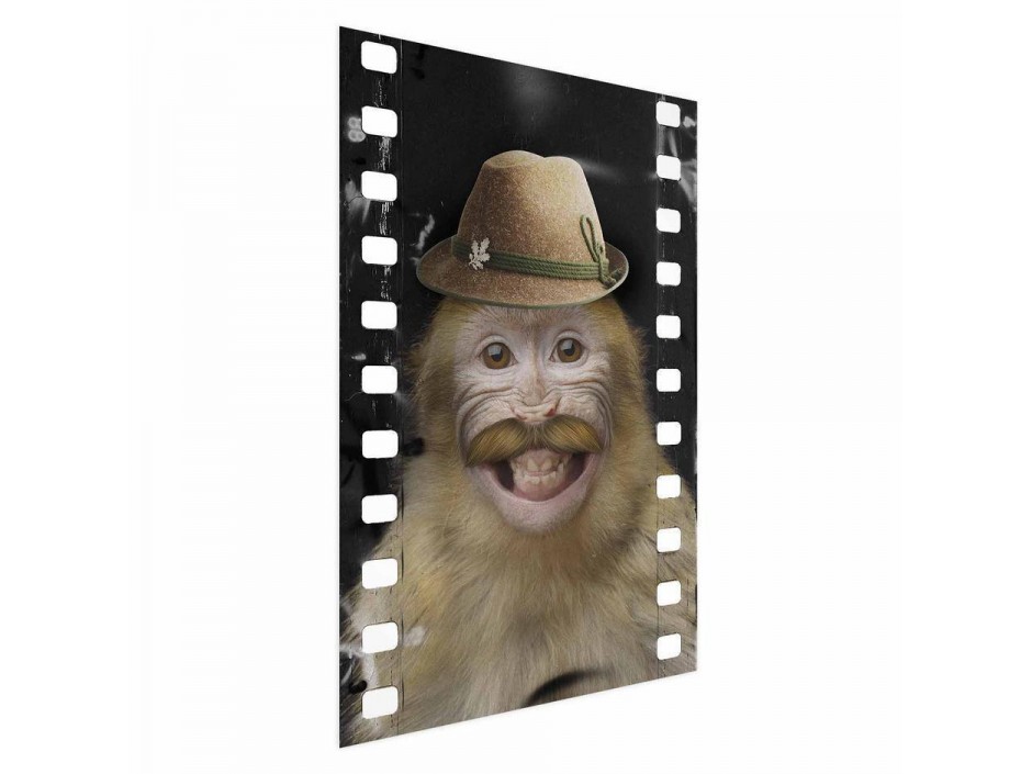 Poster - Monkey in a Hat