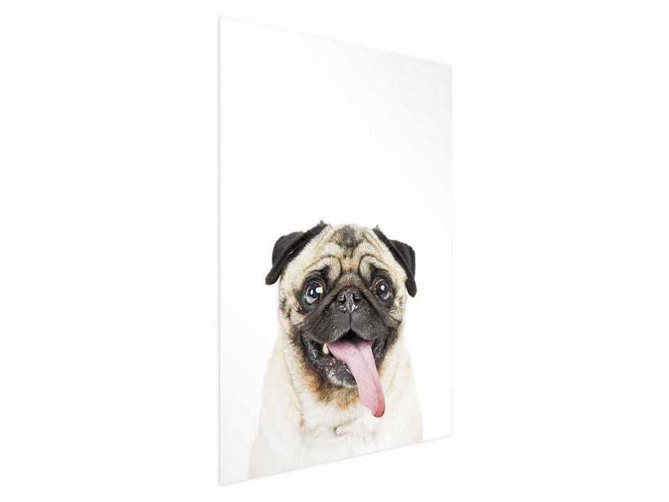 Poster - Pug