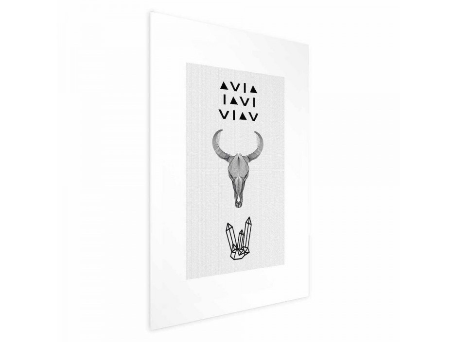 Poster - Animal Skull