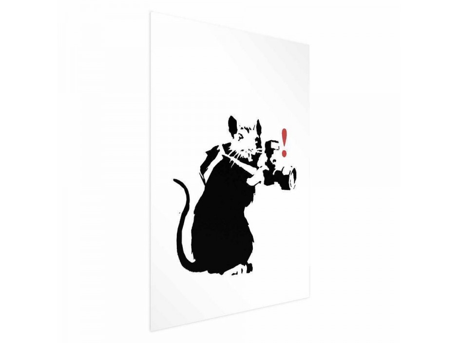 Poster - Photographer Rat