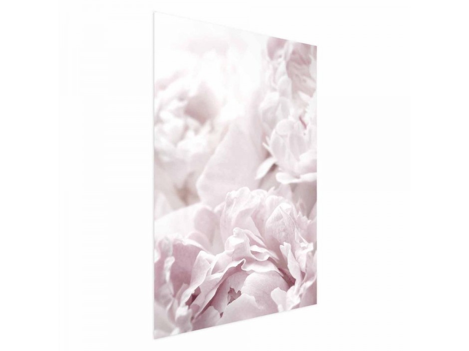 Poster - Fluffy Peonies