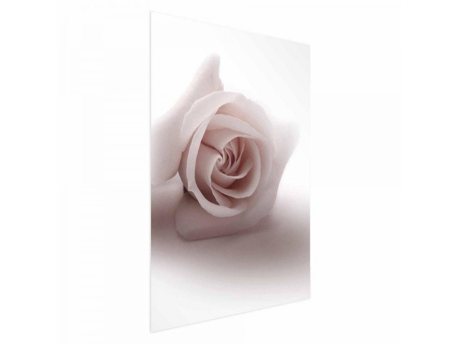 Poster - Rose Shadow