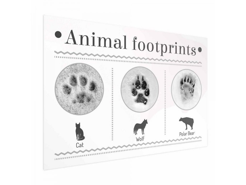 Poster - Paw Prints