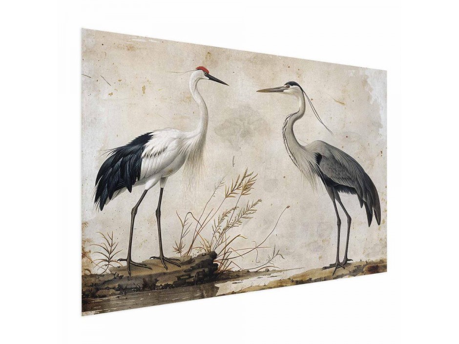 Poster - Birds from an Old Engraving - vintage-style illustration of a heron and a crane