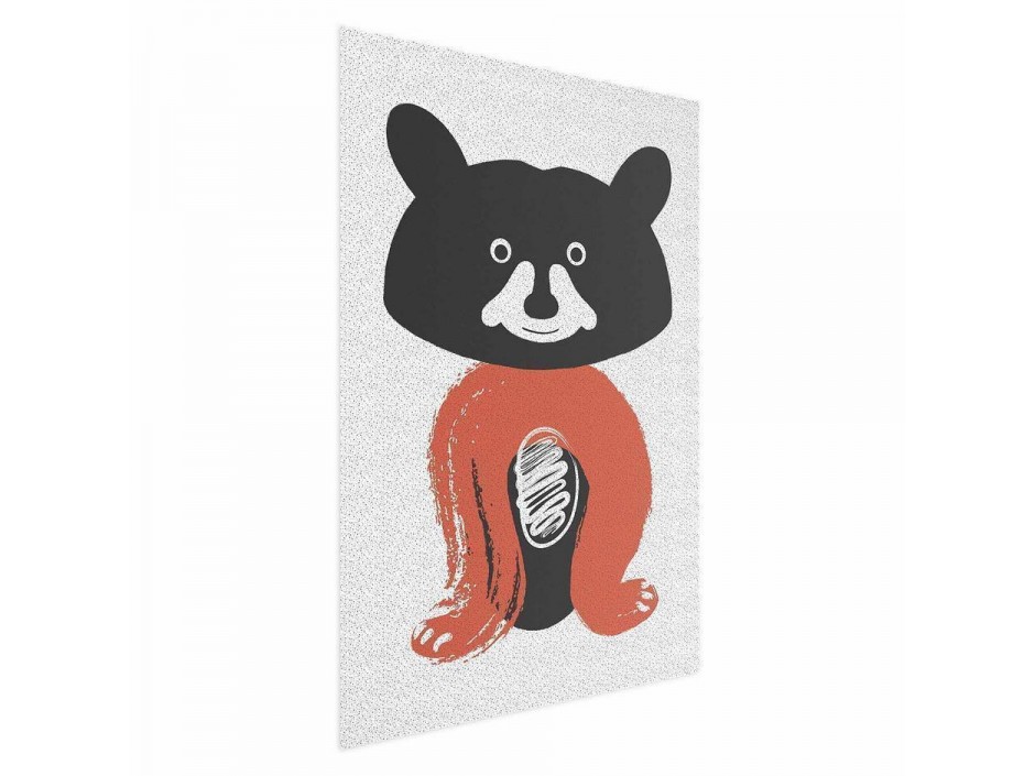 Poster - Friendly Mr Raccoon