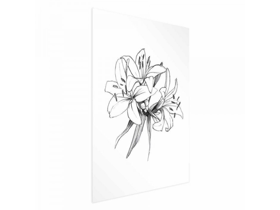 Poster - Drawn Flowers