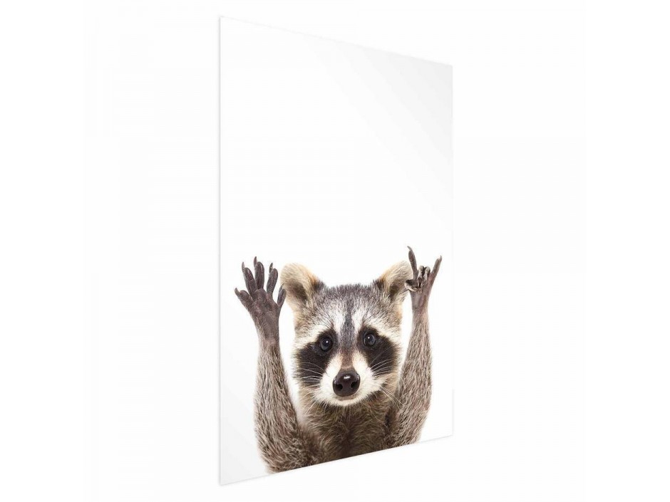 Poster - Raccoon