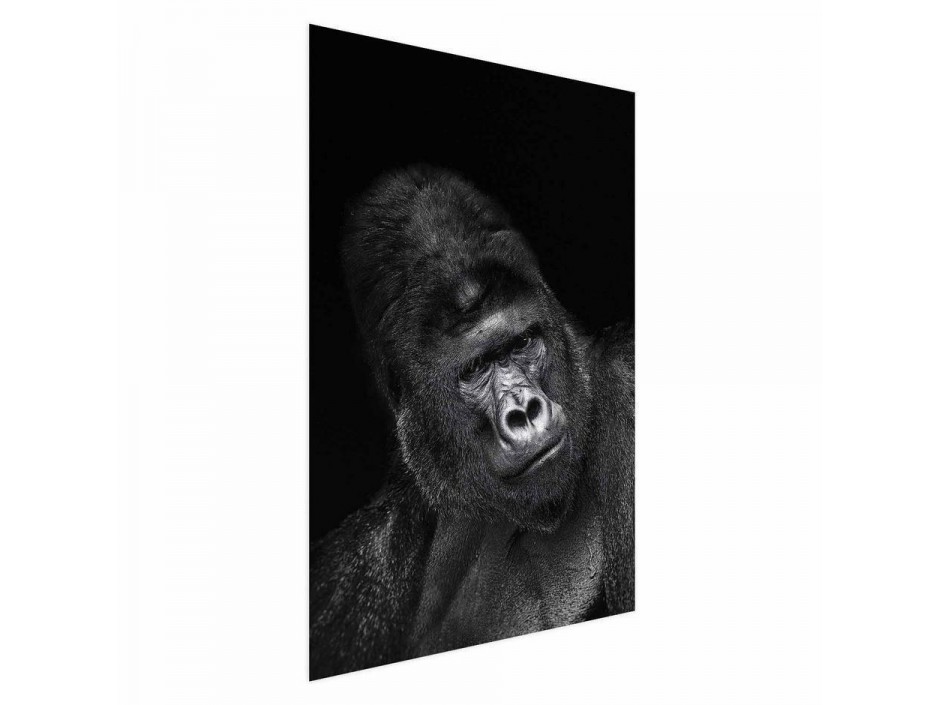 Poster - Gorilla