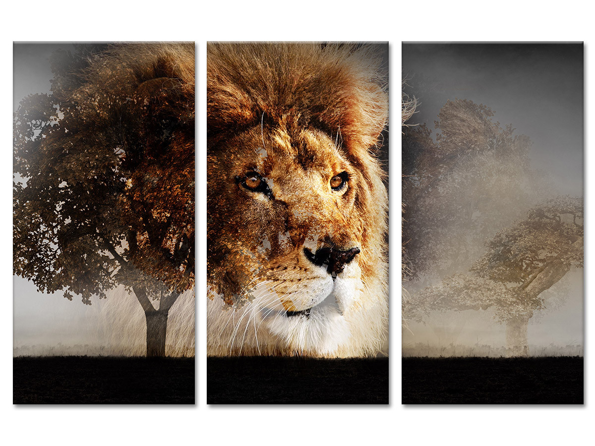 Tableau contemporain photo sur toile lion sauvage - Cadre triptyque