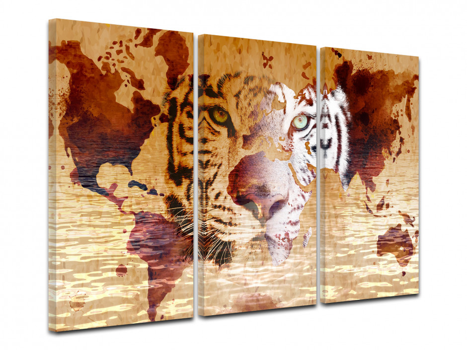 Cadre triptyque tigre et carte du monde sur toile imprimée - Declina